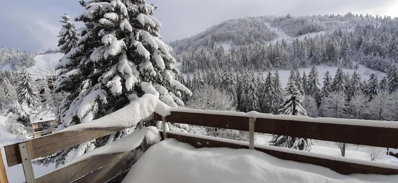 Les Oursons Du Hohneck Apartman La Bresse Kültér fotó